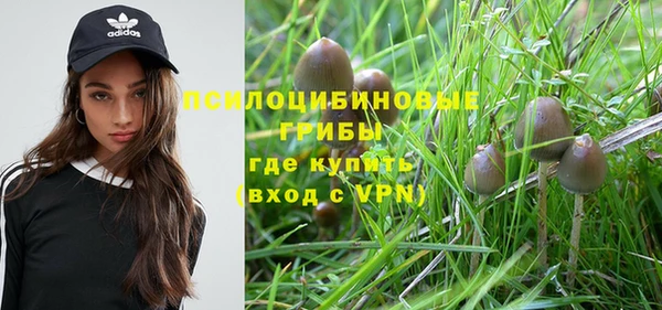 прущие крисы Аркадак