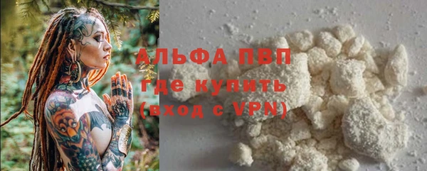 прущие крисы Аркадак