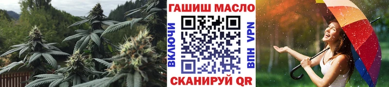 как найти закладки  Шумерля  Дистиллят ТГК жижа 